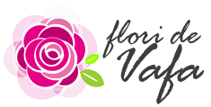 Logo Flori de Vafa