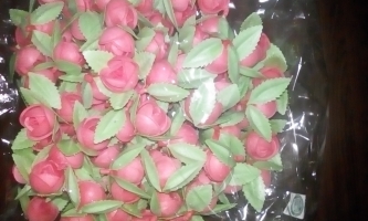 Trandafiri mari rosii