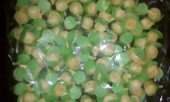 Trandafiri mici galbeni