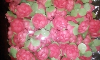 Flori vafa rosii cu frunze